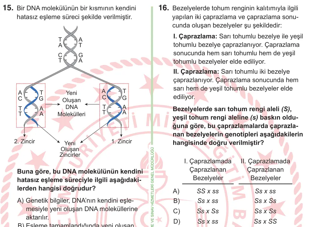 8. Sınıf ve Hazırlık Fen Bilimleri 2025 İOKBS Bursluluk Sınavı 16. Soru görseli