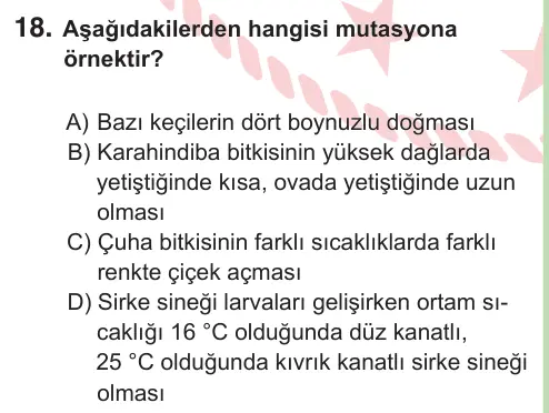 8. Sınıf ve Hazırlık Fen Bilimleri 2025 İOKBS Bursluluk Sınavı 18. Soru görseli