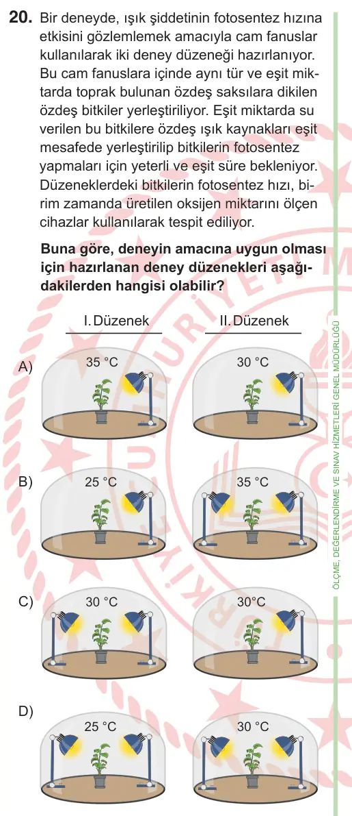 8. Sınıf ve Hazırlık Fen Bilimleri 2025 İOKBS Bursluluk Sınavı 20. Soru görseli