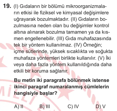 8. Sınıf ve Hazırlık Türkçe 2025 İOKBS Bursluluk Sınavı 19. Soru görseli