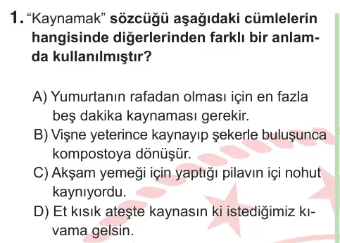 8. Sınıf ve Hazırlık Türkçe 2025 İOKBS Bursluluk Sınavı 1. Soru görseli