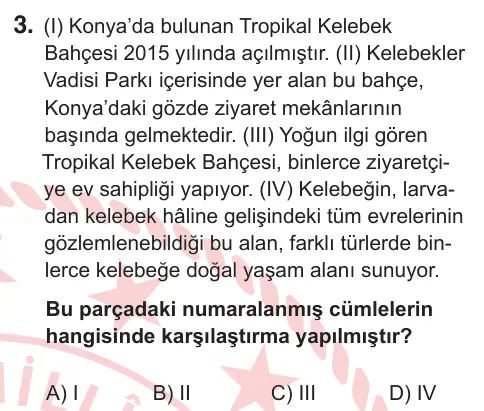 8. Sınıf ve Hazırlık Türkçe 2025 İOKBS Bursluluk Sınavı 3. Soru görseli