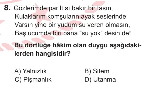 8. Sınıf ve Hazırlık Türkçe 2025 İOKBS Bursluluk Sınavı 8. Soru görseli