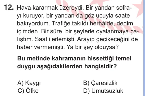 9. Sınıf Türk Dili ve Edebiyatı 2025 İOKBS Bursluluk Sınavı 12. Soru görseli