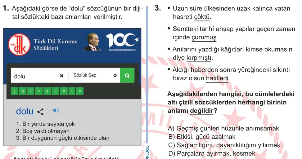 9. Sınıf Türk Dili ve Edebiyatı 2025 İOKBS Bursluluk Sınavı 3. Soru görseli