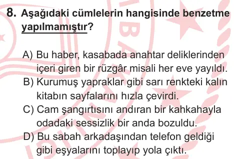 9. Sınıf Türk Dili ve Edebiyatı 2025 İOKBS Bursluluk Sınavı 8. Soru görseli