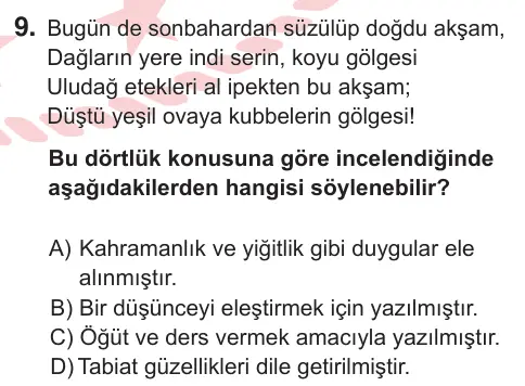 9. Sınıf Türk Dili ve Edebiyatı 2025 İOKBS Bursluluk Sınavı 9. Soru görseli