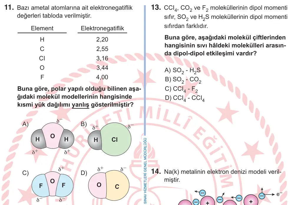9. Sınıf Fen Bilimleri 2025 İOKBS Bursluluk Sınavı 11. Soru görseli