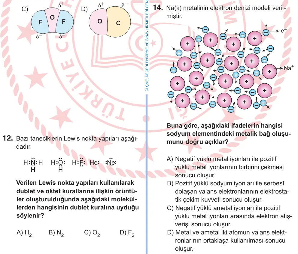 9. Sınıf Fen Bilimleri 2025 İOKBS Bursluluk Sınavı 14. Soru görseli