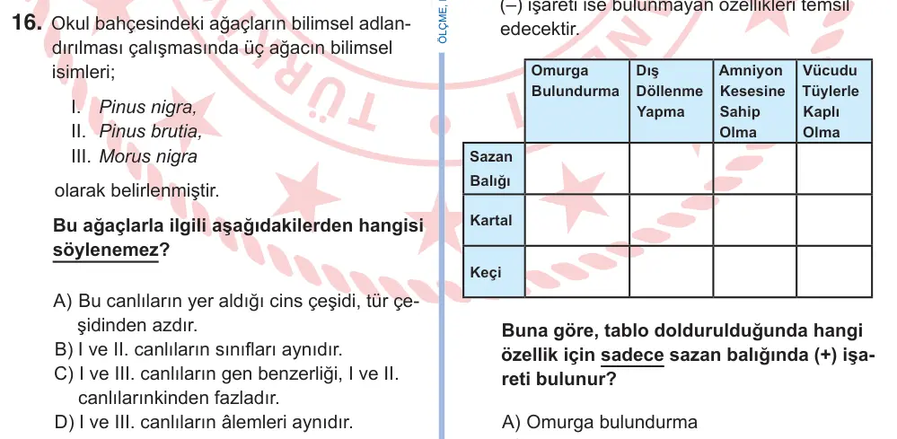 9. Sınıf Fen Bilimleri 2025 İOKBS Bursluluk Sınavı 16. Soru görseli