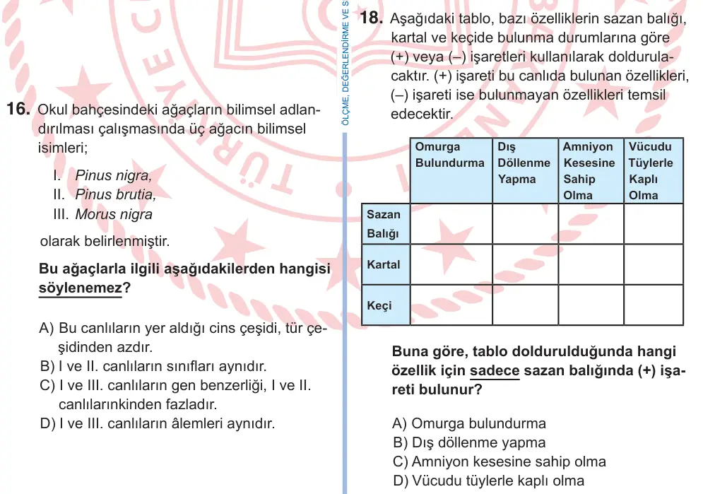 9. Sınıf Fen Bilimleri 2025 İOKBS Bursluluk Sınavı 18. Soru görseli