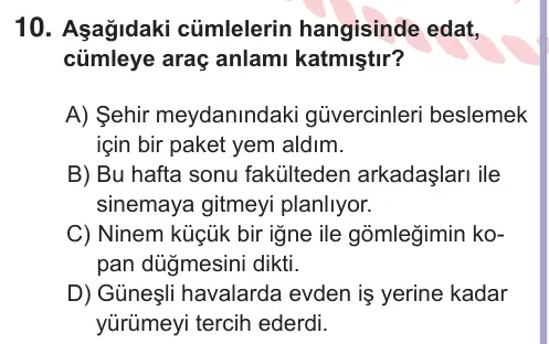 11. Sınıf Türk Dili ve Edebiyatı 2026 İOKBS Bursluluk Sınavı 10. Soru görseli