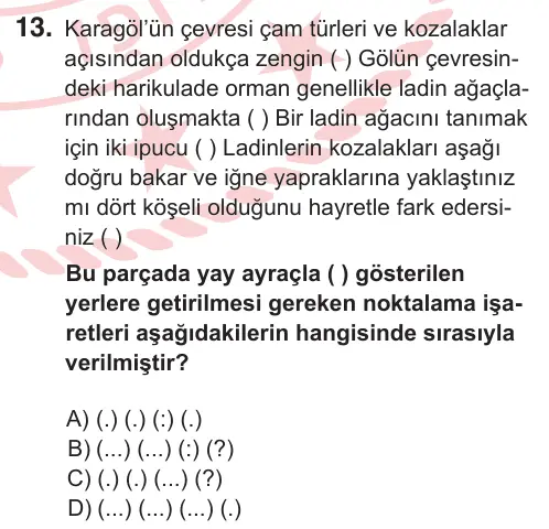 11. Sınıf Türk Dili ve Edebiyatı 2026 İOKBS Bursluluk Sınavı 13. Soru görseli