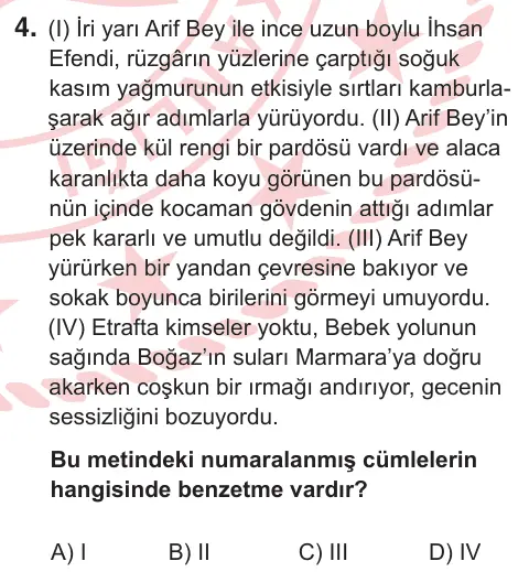 11. Sınıf Türk Dili ve Edebiyatı 2026 İOKBS Bursluluk Sınavı 4. Soru görseli