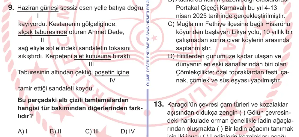 11. Sınıf Türk Dili ve Edebiyatı 2026 İOKBS Bursluluk Sınavı 9. Soru görseli