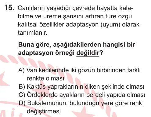 11. Sınıf Fen Bilimleri 2026 İOKBS Bursluluk Sınavı 15. Soru görseli