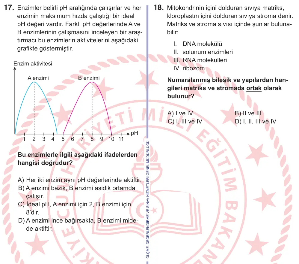 11. Sınıf Fen Bilimleri 2026 İOKBS Bursluluk Sınavı 17. Soru görseli