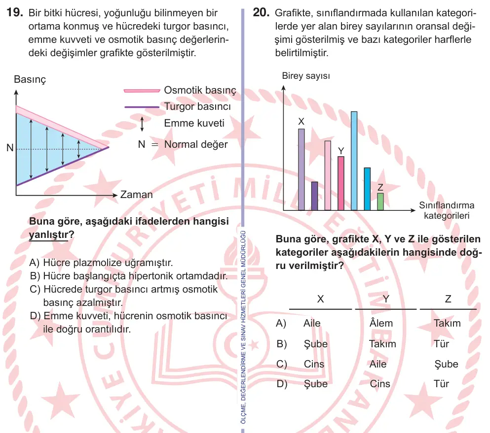 11. Sınıf Fen Bilimleri 2026 İOKBS Bursluluk Sınavı 19. Soru görseli