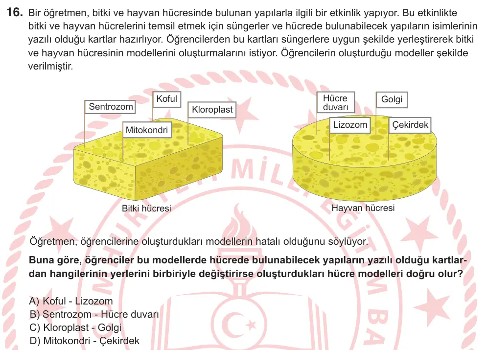 5. Sınıf Fen Bilimleri 2026 İOKBS Bursluluk Sınavı 16. Soru görseli