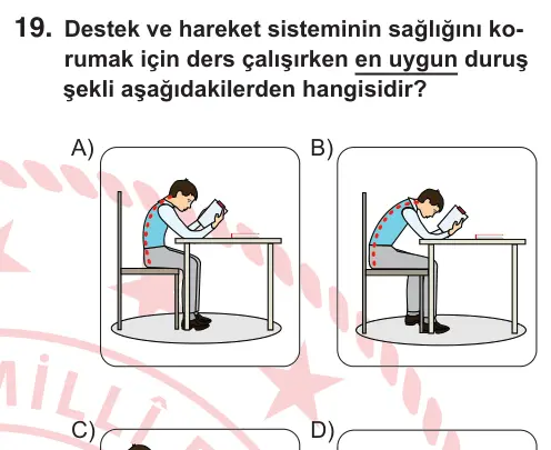 5. Sınıf Fen Bilimleri 2026 İOKBS Bursluluk Sınavı 19. Soru görseli