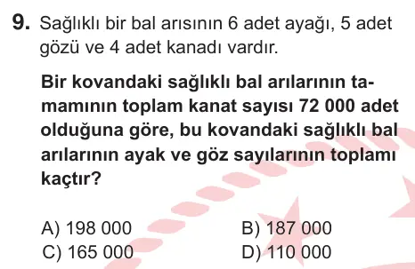 5. Sınıf Matematik 2026 İOKBS Bursluluk Sınavı 9. Soru görseli