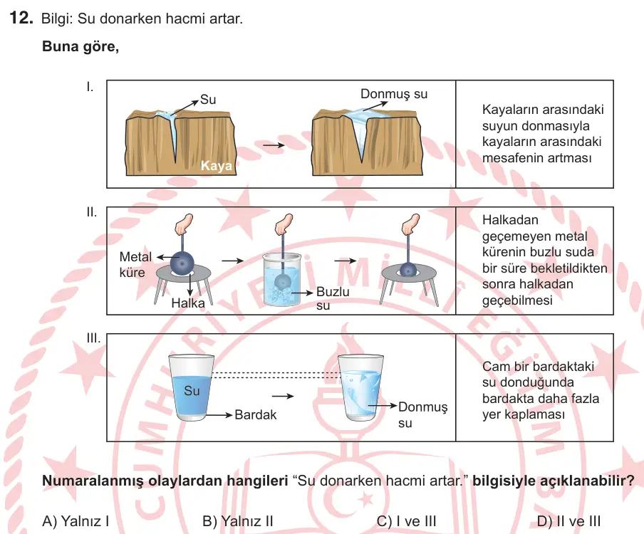 6. Sınıf Fen Bilimleri 2026 İOKBS Bursluluk Sınavı 12. Soru görseli