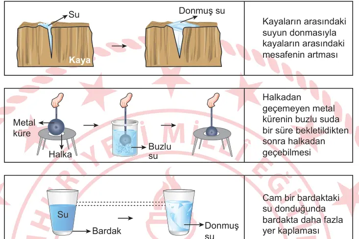 6. Sınıf Fen Bilimleri 2026 İOKBS Bursluluk Sınavı 13. Soru görseli (2/2)