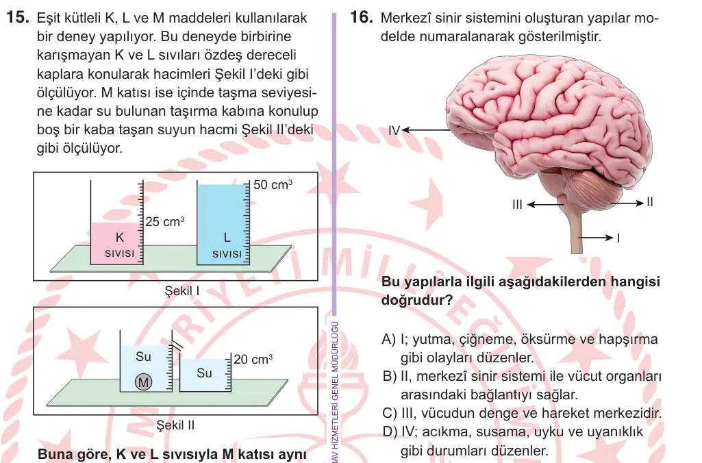 6. Sınıf Fen Bilimleri 2026 İOKBS Bursluluk Sınavı 16. Soru görseli
