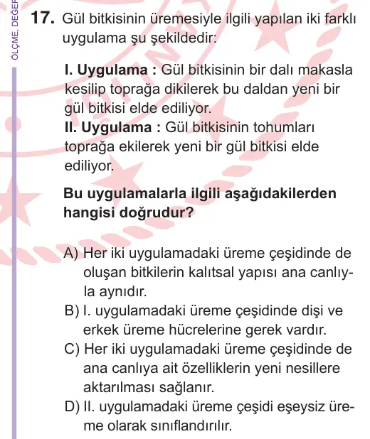 6. Sınıf Fen Bilimleri 2026 İOKBS Bursluluk Sınavı 17. Soru görseli