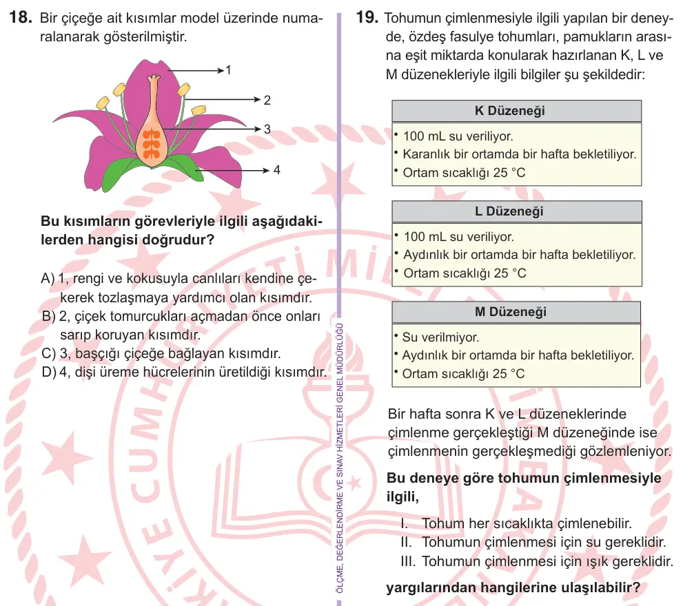 6. Sınıf Fen Bilimleri 2026 İOKBS Bursluluk Sınavı 18. Soru görseli