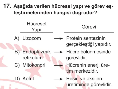 7. Sınıf Fen Bilimleri 2026 İOKBS Bursluluk Sınavı 17. Soru görseli