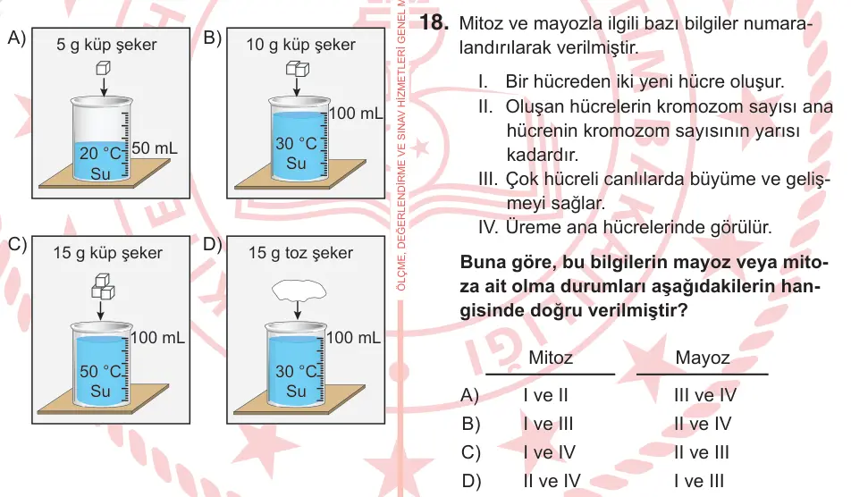 7. Sınıf Fen Bilimleri 2026 İOKBS Bursluluk Sınavı 18. Soru görseli