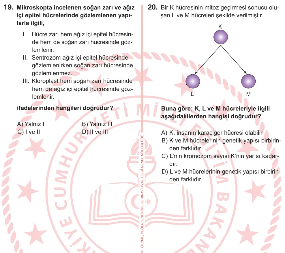 7. Sınıf Fen Bilimleri 2026 İOKBS Bursluluk Sınavı 19. Soru görseli