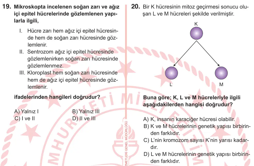 7. Sınıf Fen Bilimleri 2026 İOKBS Bursluluk Sınavı 20. Soru görseli