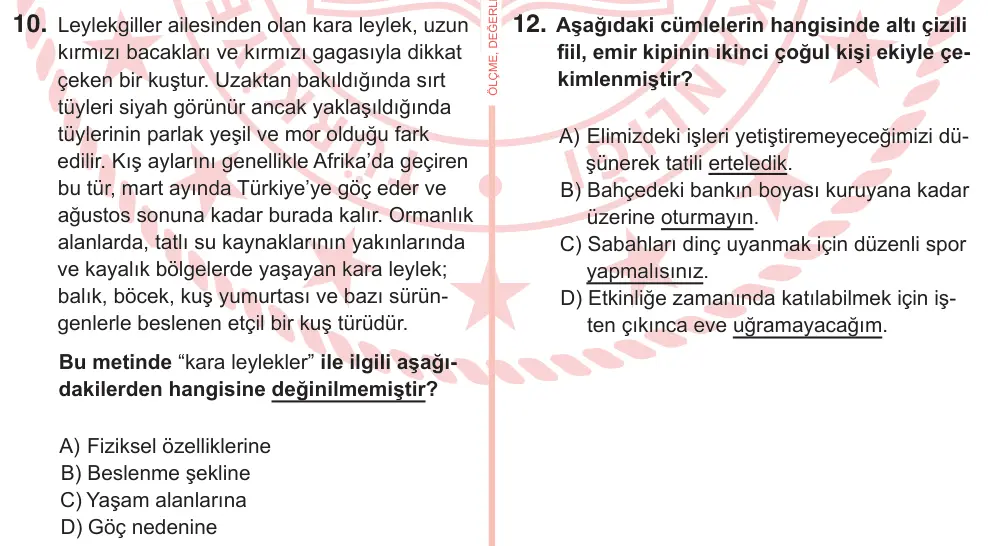 7. Sınıf Türkçe 2026 İOKBS Bursluluk Sınavı 10. Soru görseli