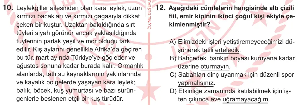 7. Sınıf Türkçe 2026 İOKBS Bursluluk Sınavı 12. Soru görseli