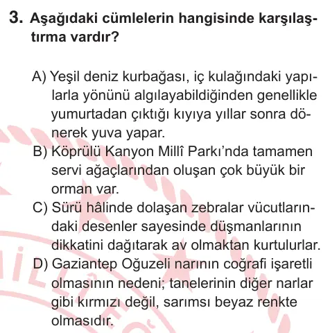 7. Sınıf Türkçe 2026 İOKBS Bursluluk Sınavı 3. Soru görseli