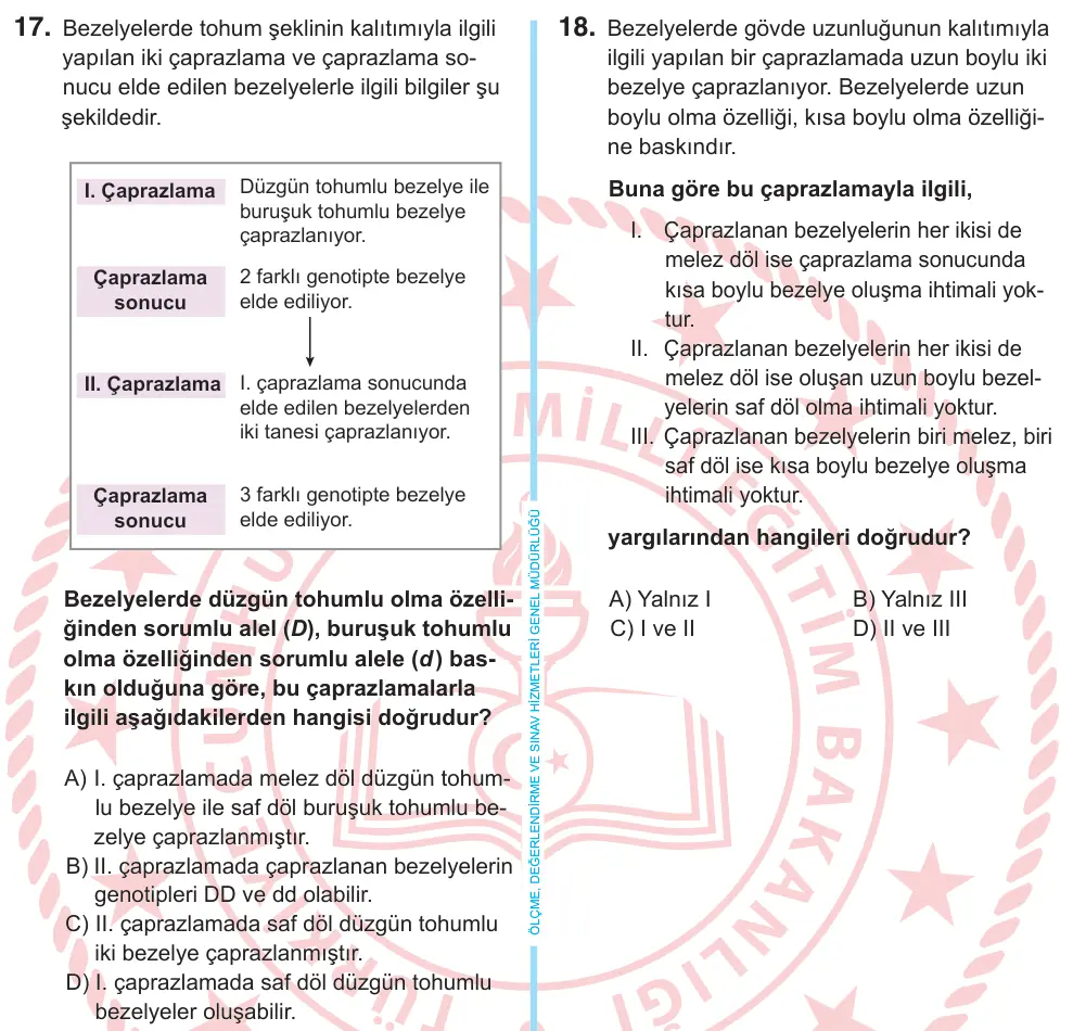 8. Sınıf Fen Bilimleri 2026 İOKBS Bursluluk Sınavı 17. Soru görseli