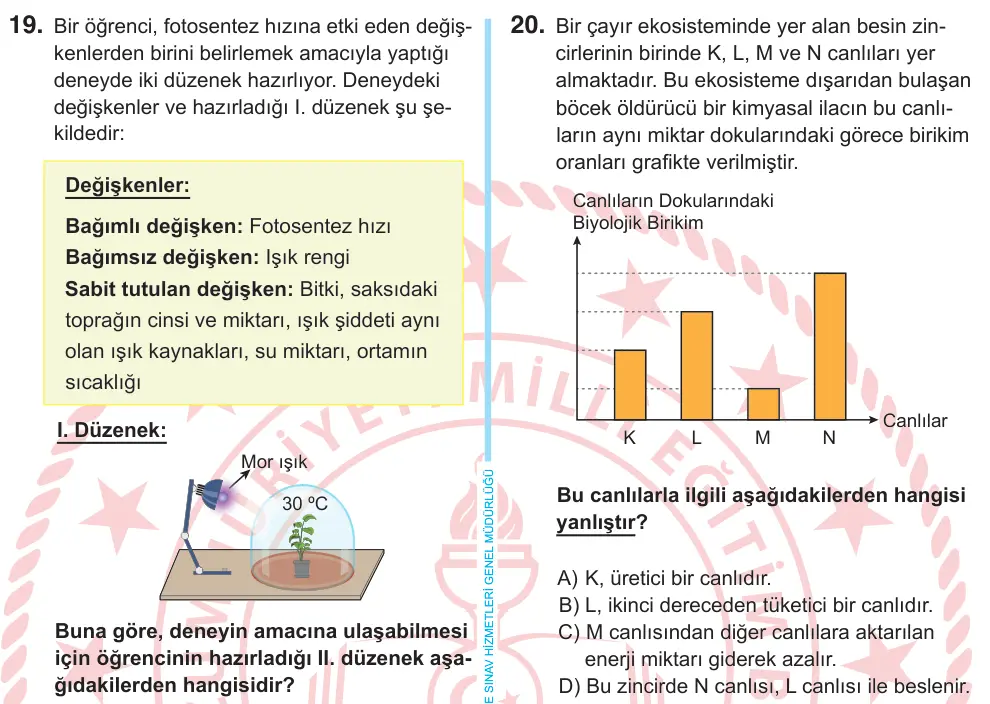 8. Sınıf Fen Bilimleri 2026 İOKBS Bursluluk Sınavı 20. Soru görseli