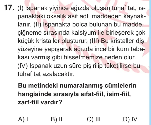 8. Sınıf Türkçe 2026 İOKBS Bursluluk Sınavı 17. Soru görseli