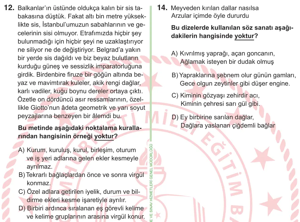 9, 10. Sınıf Türk Dili ve Edebiyatı 2026 İOKBS Bursluluk Sınavı 12. Soru görseli