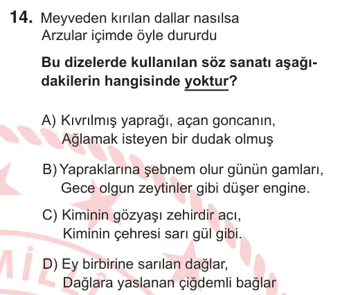 9, 10. Sınıf Türk Dili ve Edebiyatı 2026 İOKBS Bursluluk Sınavı 14. Soru görseli