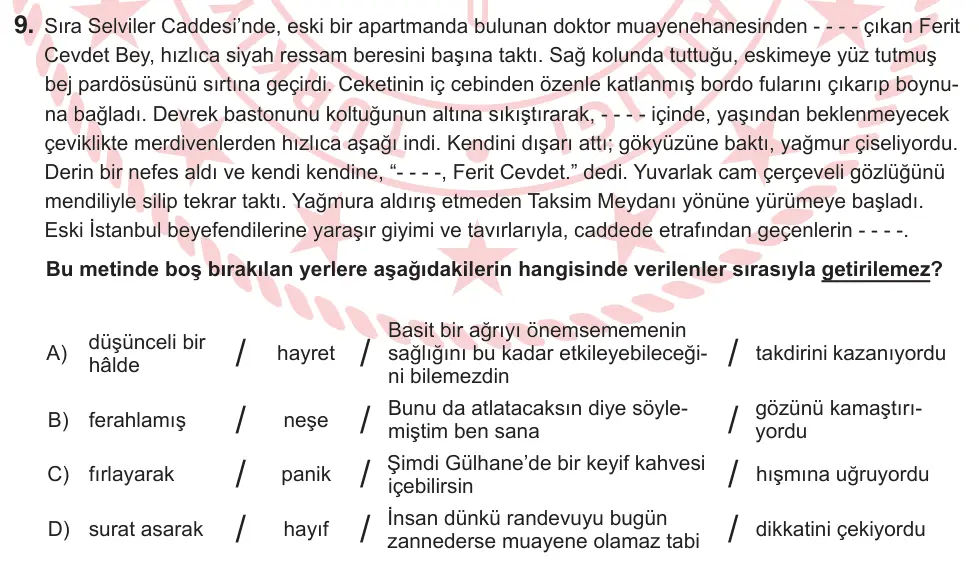 9, 10. Sınıf Türk Dili ve Edebiyatı 2026 İOKBS Bursluluk Sınavı 9. Soru görseli