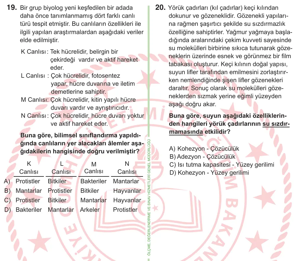 9, 10. Sınıf Fen Bilimleri 2026 İOKBS Bursluluk Sınavı 19. Soru görseli