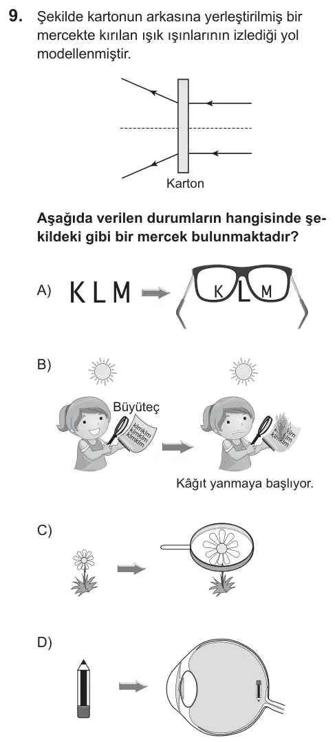 LGS 2018 Sayısal Fen Bilimleri 9. Soru görseli