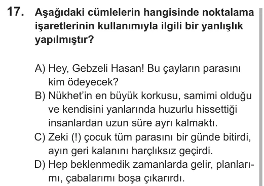 LGS 2018 Sözel Türkçe 17. Soru görseli