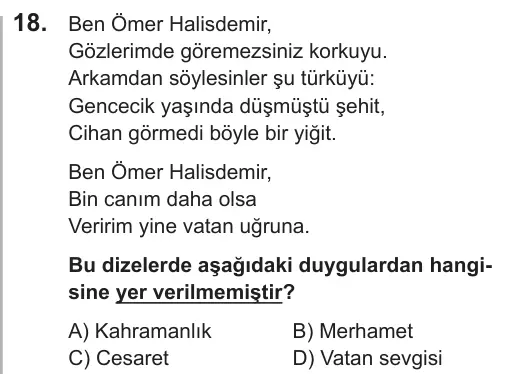 LGS 2018 Sözel Türkçe 18. Soru görseli