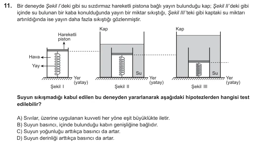 LGS 2019 Sayısal Fen Bilimleri 11. Soru görseli