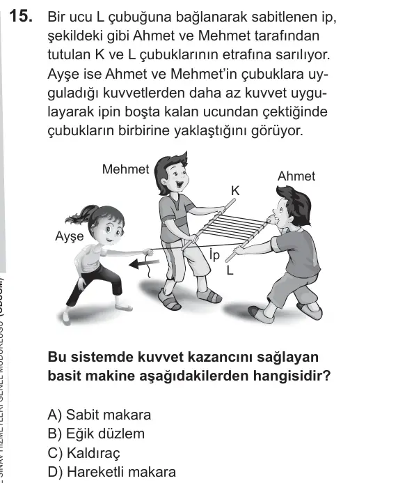 LGS 2019 Sayısal Fen Bilimleri 15. Soru görseli