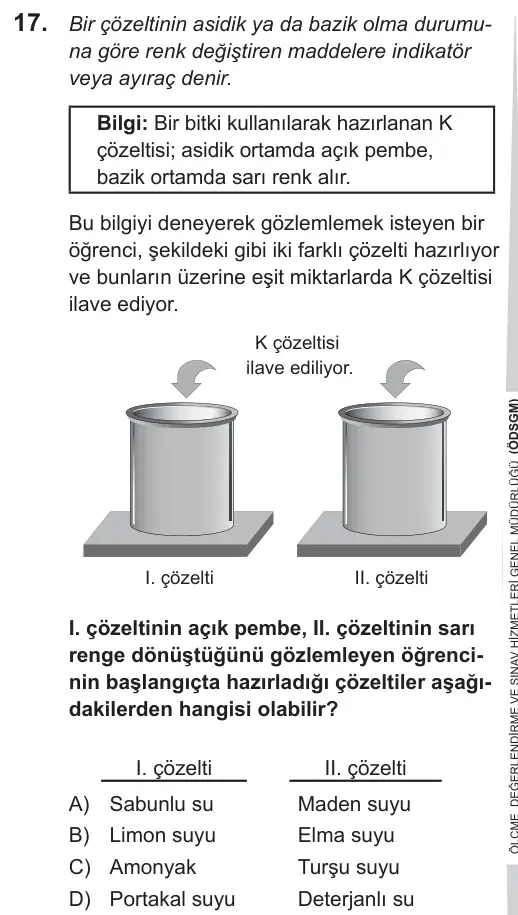 LGS 2019 Sayısal Fen Bilimleri 17. Soru görseli